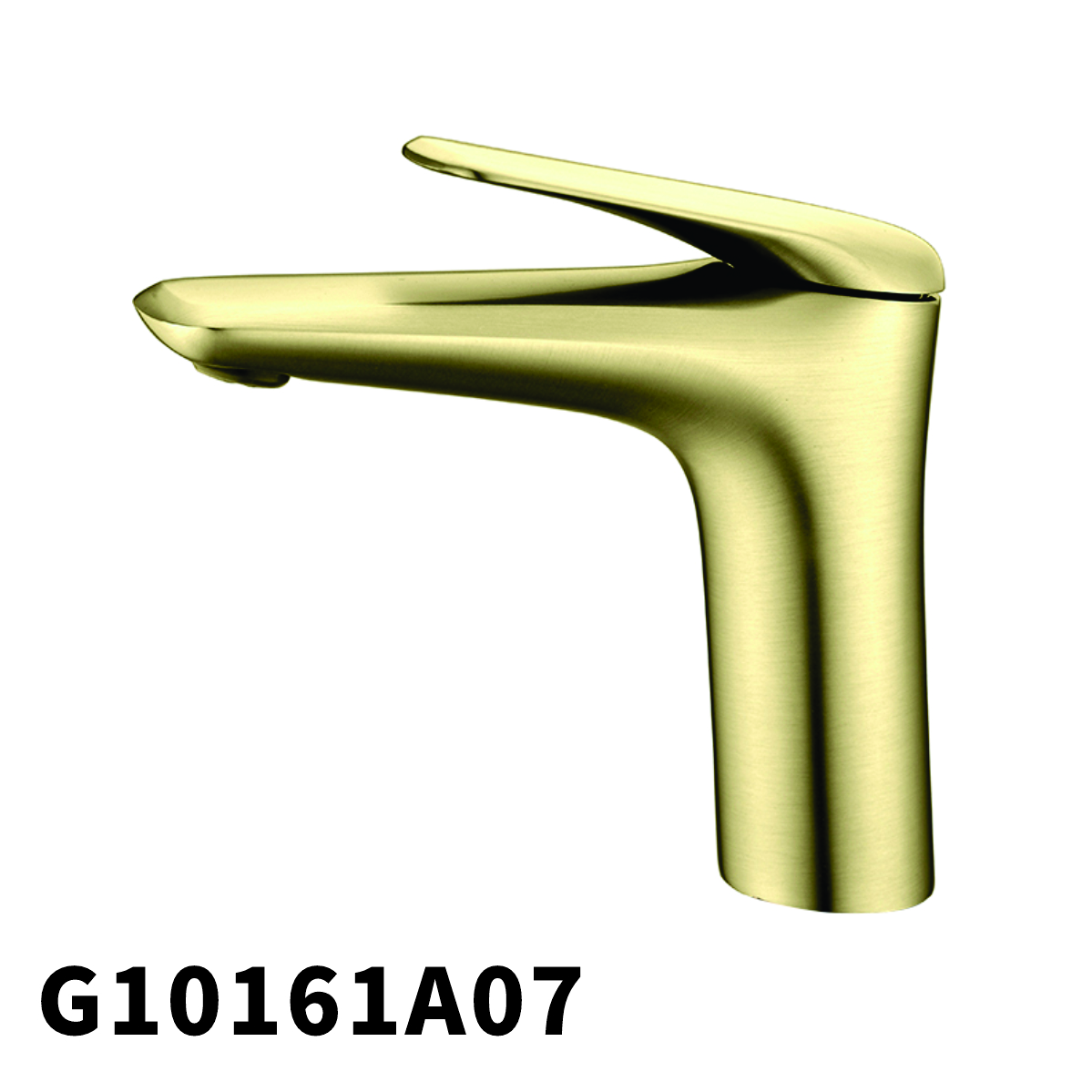 G10161