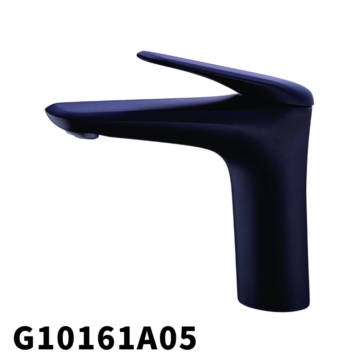 G10161